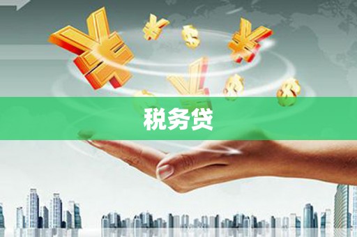 杨陵税务贷
