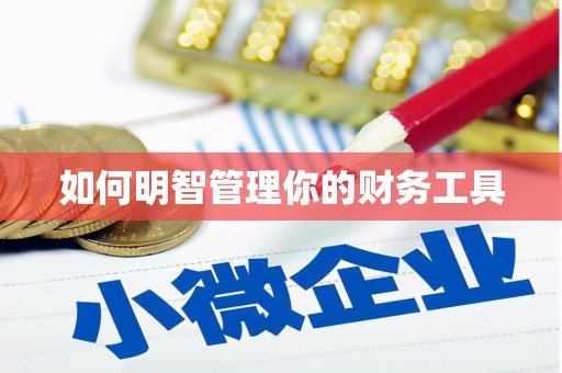 杨陵如何明智管理你的财务工具