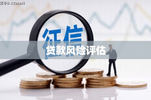 杨陵贷款风险评估