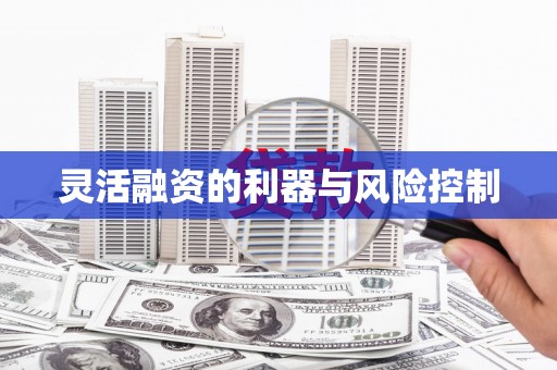杨陵灵活融资的利器与风险控制