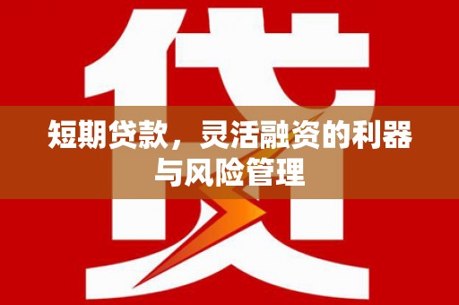 杨陵短期贷款，灵活融资的利器与风险管理