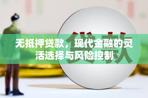 杨陵无抵押贷款，现代金融的灵活选择与风险控制