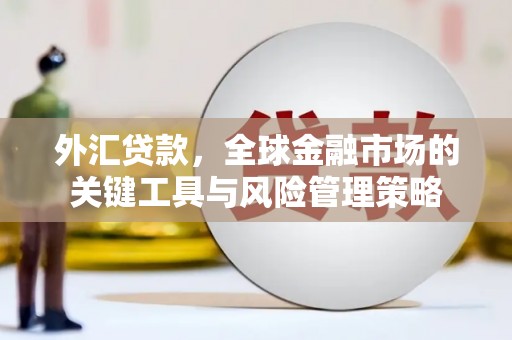 杨陵外汇贷款，全球金融市场的关键工具与风险管理策略