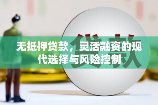 杨陵无抵押贷款，灵活融资的现代选择与风险控制