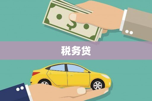 杨陵税务贷