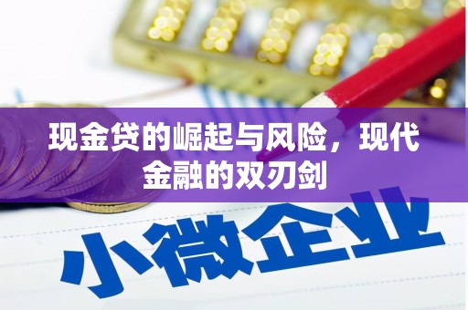 杨陵现金贷的崛起与风险，现代金融的双刃剑
