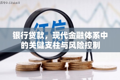 杨陵银行贷款，现代金融体系中的关键支柱与风险控制
