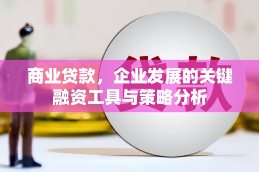杨陵商业贷款，企业发展的关键融资工具与策略分析