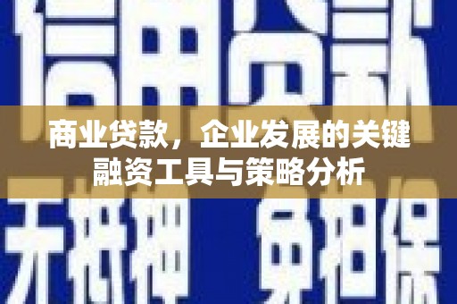 杨陵商业贷款，企业发展的关键融资工具与策略分析