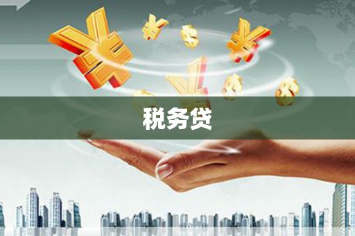 杨陵税务贷