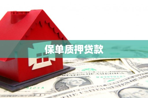 杨陵保单质押贷款