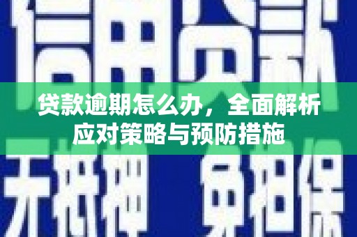 杨陵贷款逾期怎么办，全面解析应对策略与预防措施