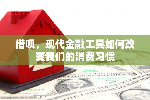 杨陵借呗，现代金融工具如何改变我们的消费习惯