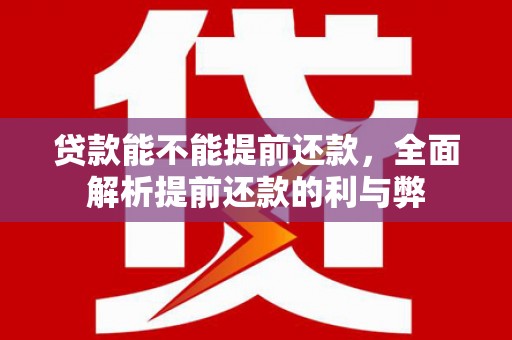 杨陵贷款能不能提前还款，全面解析提前还款的利与弊