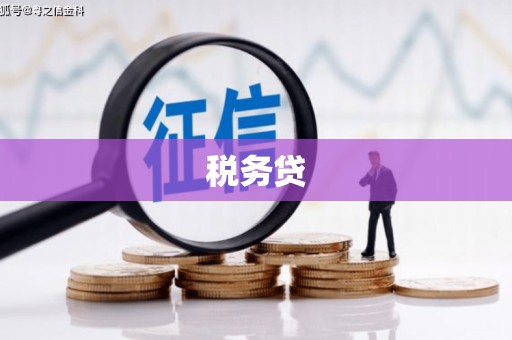 杨陵税务贷