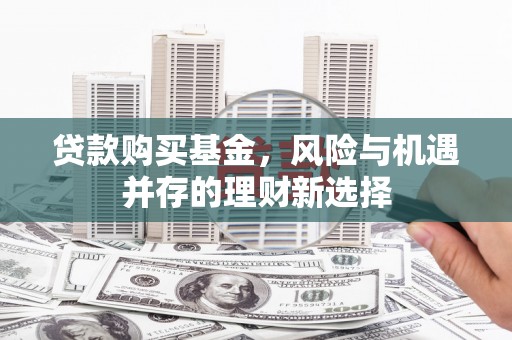 杨陵贷款购买基金，风险与机遇并存的理财新选择