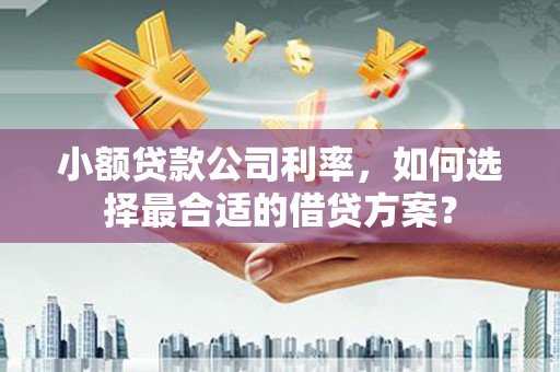 杨陵小额贷款公司利率，如何选择最合适的借贷方案？