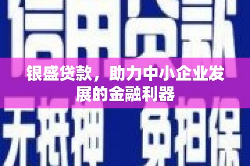 杨陵银盛贷款，助力中小企业发展的金融利器