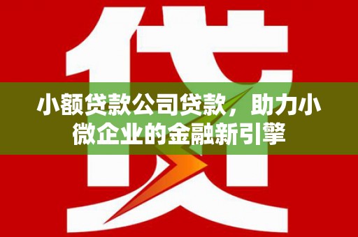 杨陵小额贷款公司贷款，助力小微企业的金融新引擎