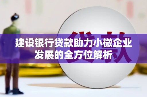 杨陵建设银行贷款助力小微企业发展的全方位解析