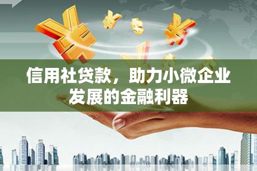 杨陵信用社贷款，助力小微企业发展的金融利器