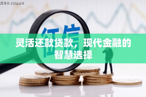 杨陵灵活还款贷款，现代金融的智慧选择