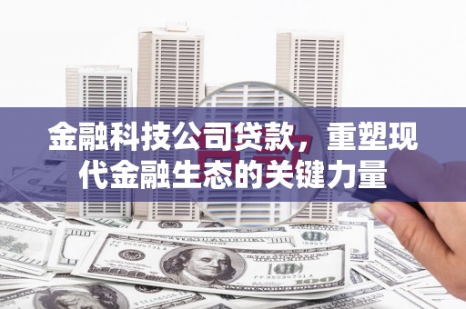 杨陵金融科技公司贷款，重塑现代金融生态的关键力量