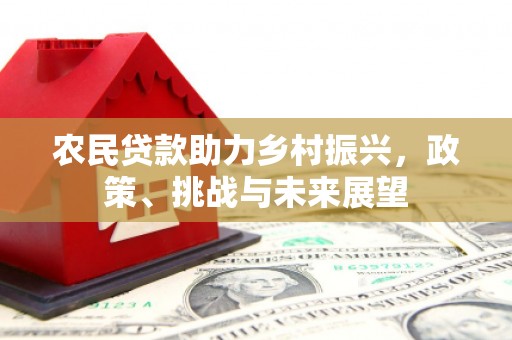 杨陵农民贷款助力乡村振兴，政策、挑战与未来展望