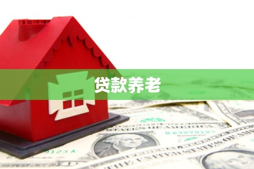 杨陵贷款养老