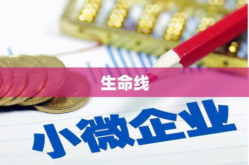 杨陵生命线