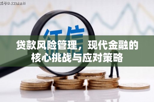 杨陵贷款风险管理，现代金融的核心挑战与应对策略