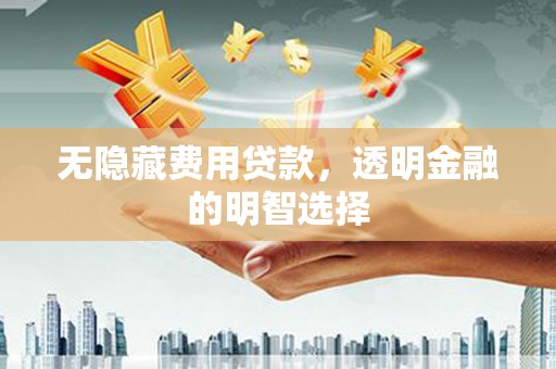 杨陵无隐藏费用贷款，透明金融的明智选择