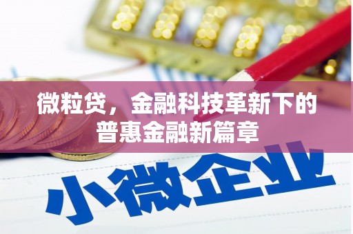 杨陵微粒贷，金融科技革新下的普惠金融新篇章