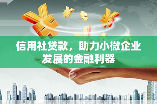 杨陵信用社贷款，助力小微企业发展的金融利器