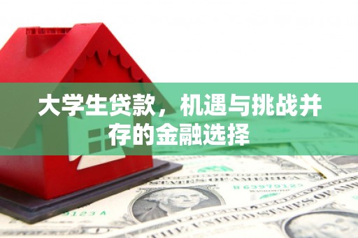 杨陵大学生贷款，机遇与挑战并存的金融选择