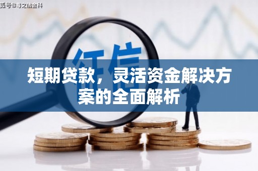 杨陵短期贷款，灵活资金解决方案的全面解析