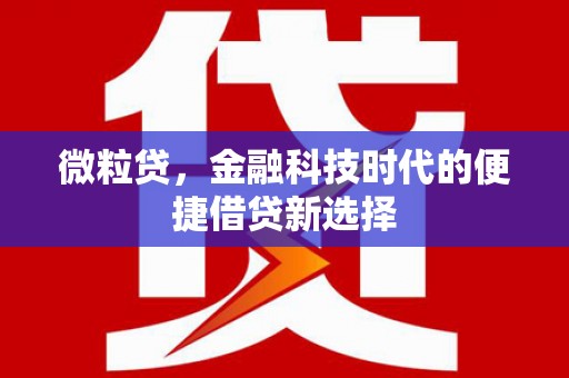 杨陵微粒贷，金融科技时代的便捷借贷新选择