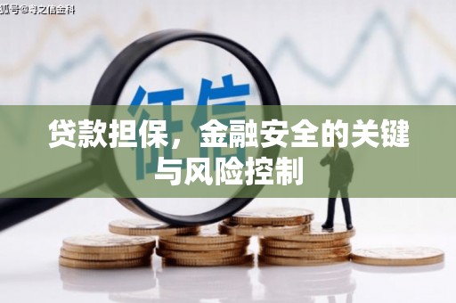 杨陵贷款担保，金融安全的关键与风险控制