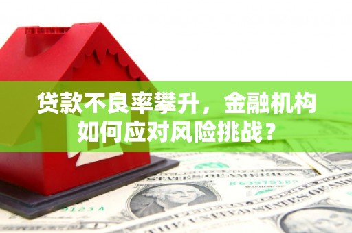 杨陵贷款不良率攀升，金融机构如何应对风险挑战？