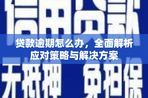 杨陵贷款逾期怎么办，全面解析应对策略与解决方案