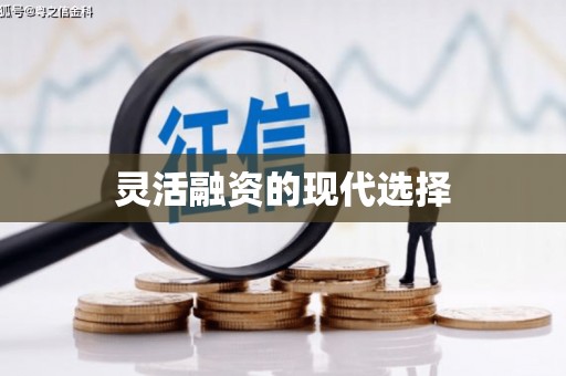 杨陵灵活融资的现代选择